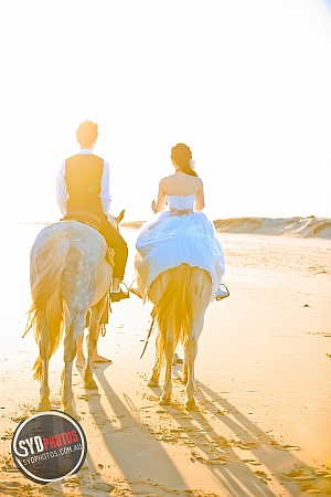 Best Pre Wedding Photography Sydney | Pre Wedding Photoshoot Sydney