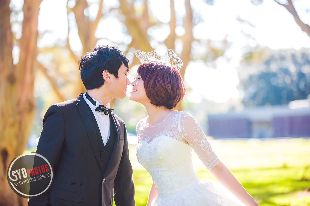 photos: id-45616-lara&jacky-sydneypre-weddingphotograpgy : page