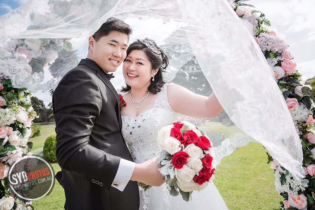 photographers portfolios : id-45011-kelly & steve-wedding-悉尼