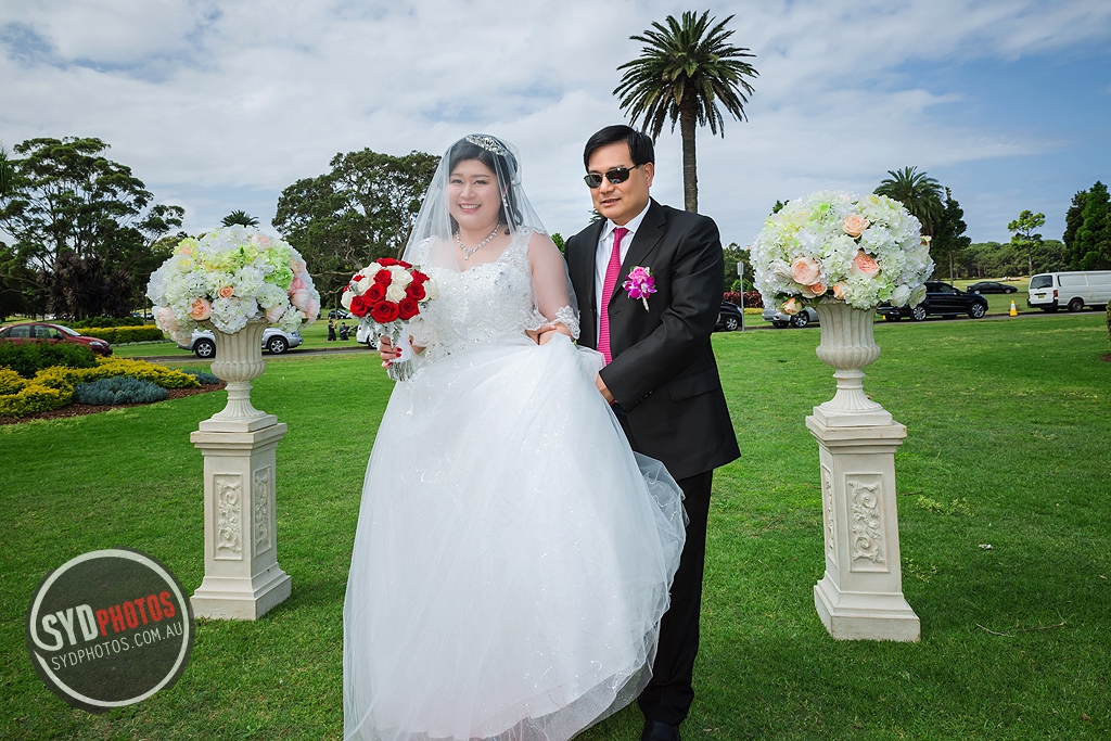 photos: id-45011-kelly & steve-wedding-悉尼婚礼摄影 : page 3